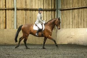 Isis Dressage Crown Farm Show 29th April 2012